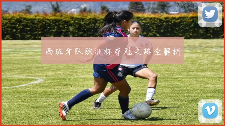 西班牙队欧洲杯夺冠之路全解析