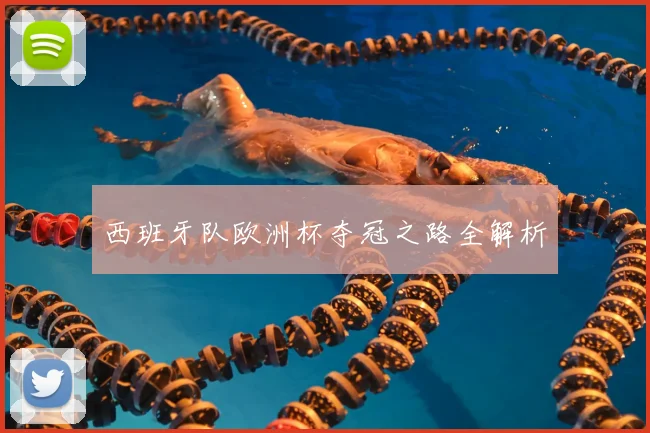 西班牙队欧洲杯夺冠之路全解析